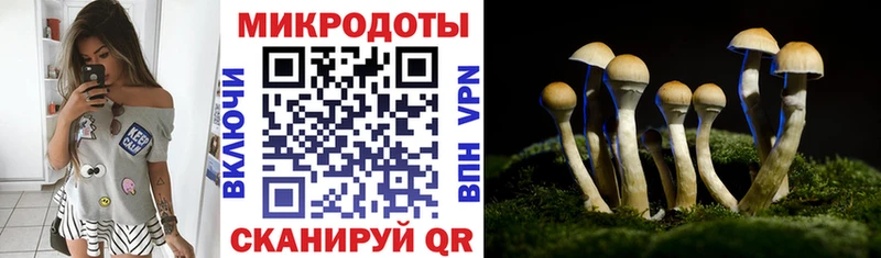 сколько стоит  Киренск  Псилоцибиновые грибы MAGIC MUSHROOMS 